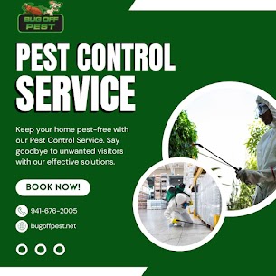 Effective Ant Treatments for Homes in Charlotte County