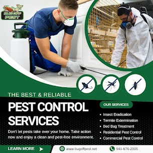 Eco-Friendly Bug Eradication in Eco-Safe Termite Treatment in Englewood