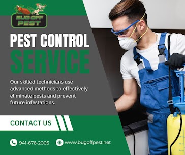 Reliable Insect Eradication in Punta Gorda