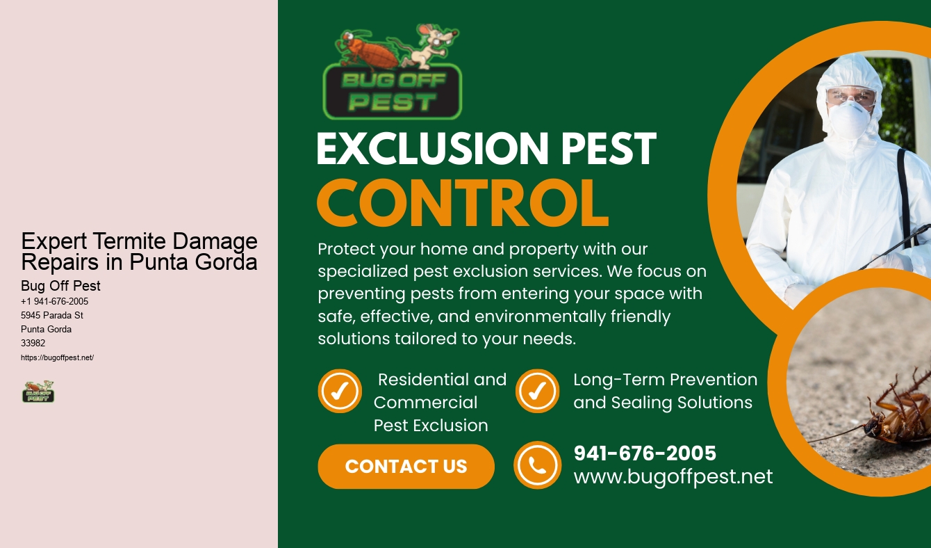 Expert Termite Damage Repairs in Punta Gorda