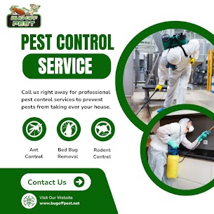 Affordable Pest-Free Solutions in Charlotte County