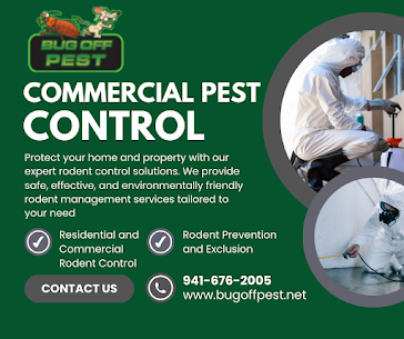 Bed Bug Detection Services in Englewood