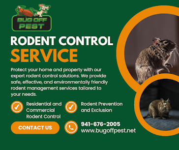 Affordable Bug-Free Strategies in Punta Gorda