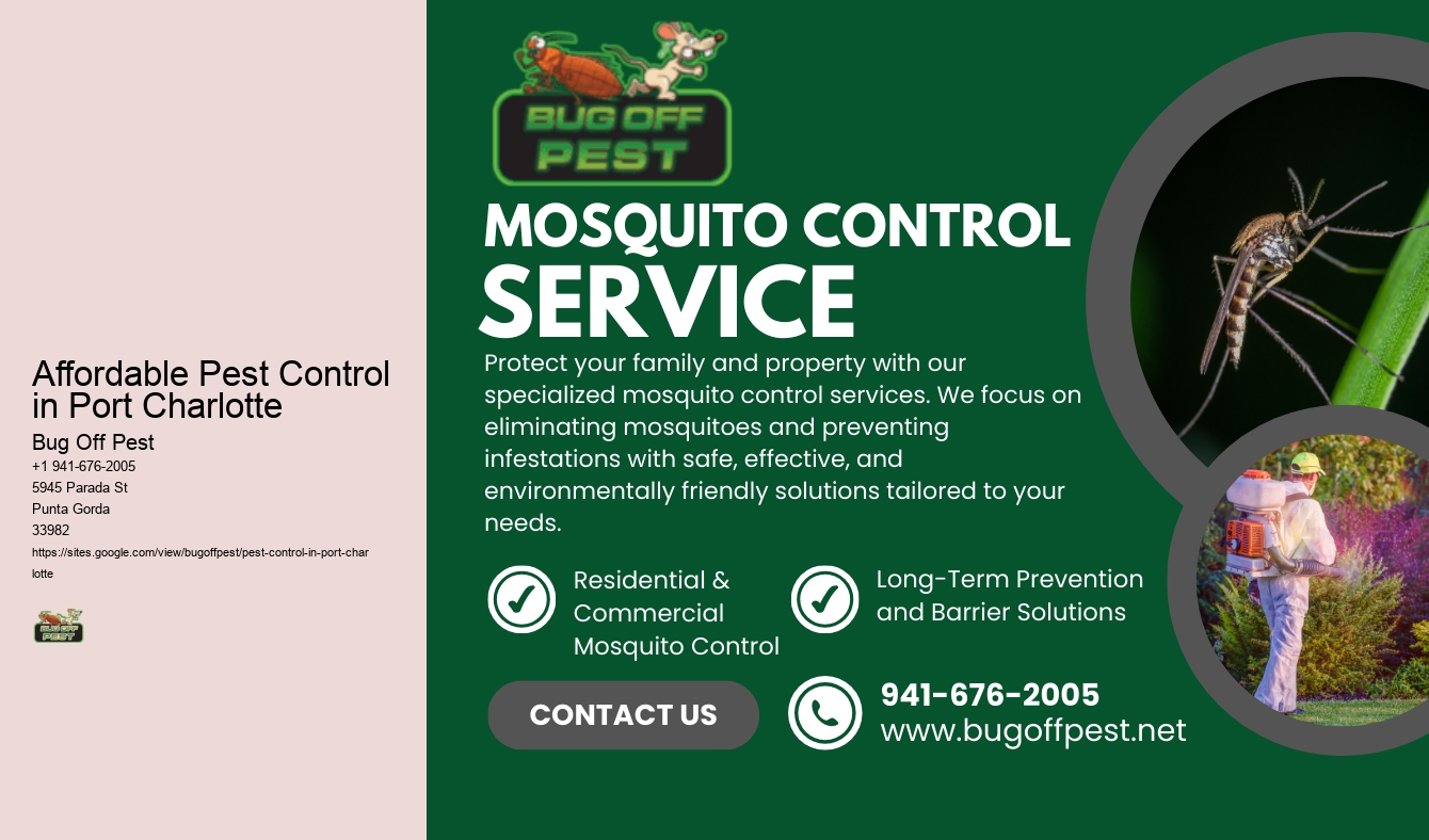 Affordable Pest Control in Port Charlotte