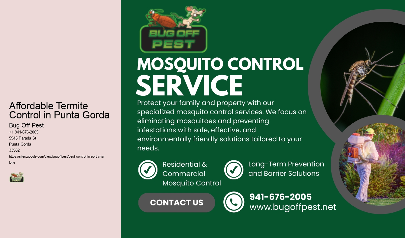 Affordable Termite Control in Punta Gorda